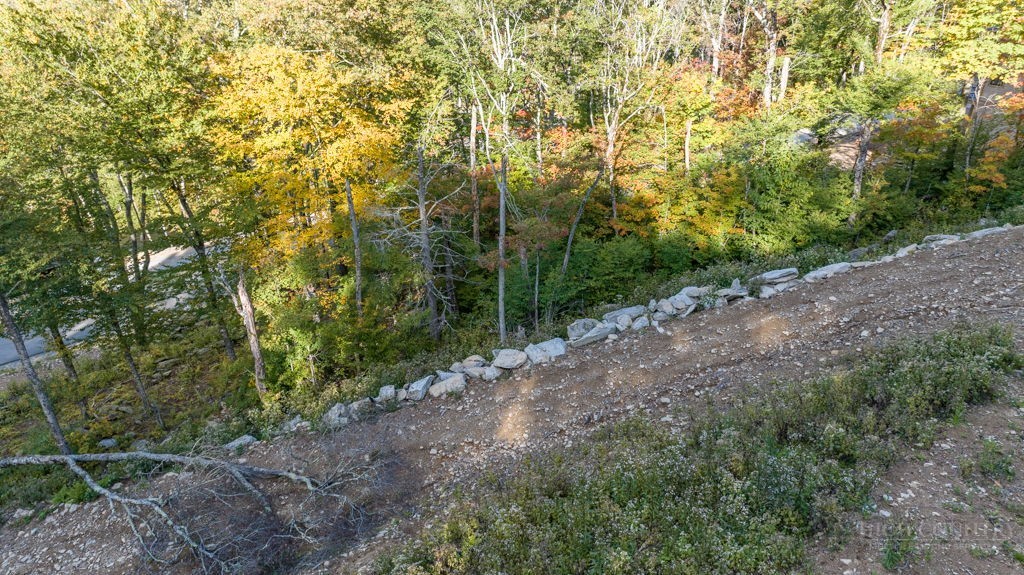 77 Red Robin Road Banner Elk, NC 28604 - Photo 12 of 27 a view of a forest with trees in the background