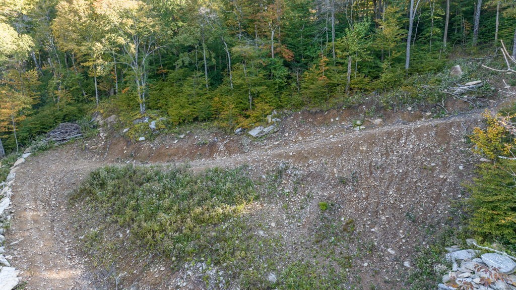77 Red Robin Road Banner Elk, NC 28604 - Photo 15 of 27 a view of a forest with trees in the background