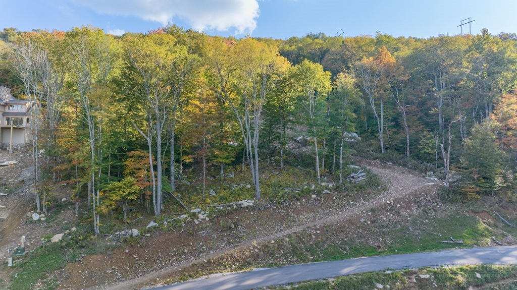 77 Red Robin Road Banner Elk, NC 28604 - Photo 16 of 27 a view of a forest that has a tree