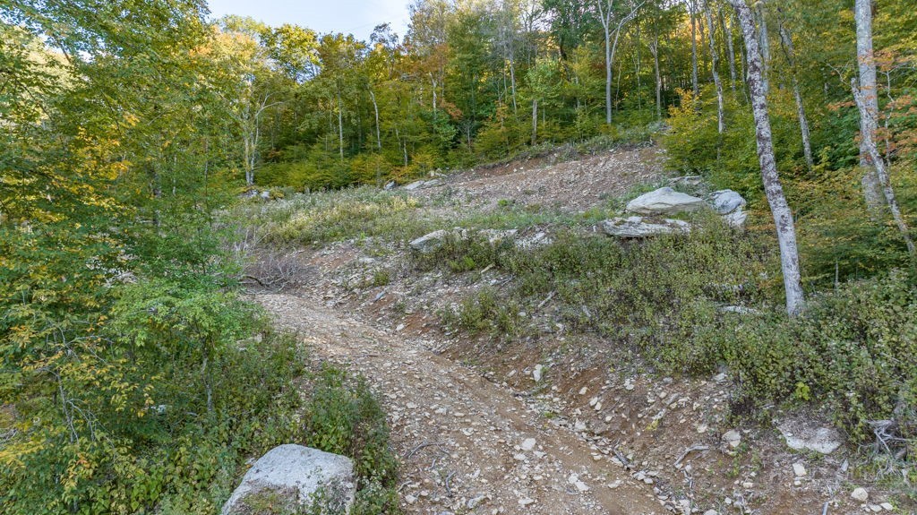 77 Red Robin Road Banner Elk, NC 28604 - Photo 17 of 27 a view of a forest with trees