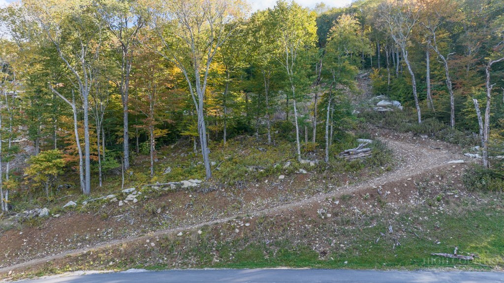 77 Red Robin Road Banner Elk, NC 28604 - Photo 18 of 27 a view of forest