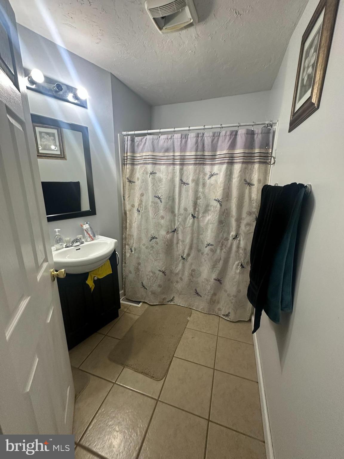 209 Fulton Street Hanover, PA 17331 - Photo 26 of 32 a bathroom with a sink a toilet and shower