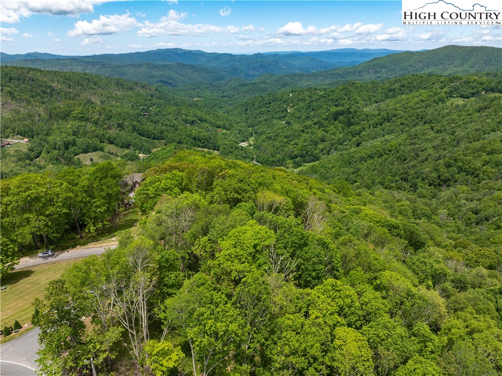 Ec1 Ec1 Eagle Crest Trail Elk Park, NC 28622 - Photo 11 of 15 a view of an lush green mountain