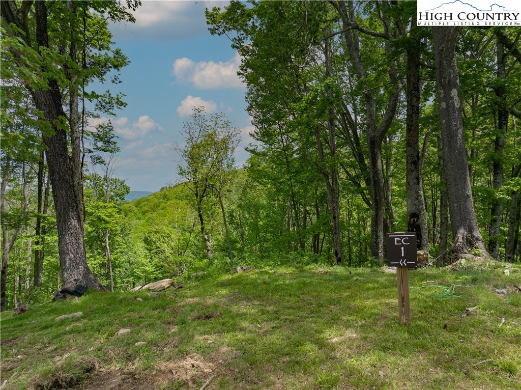 Ec1 Ec1 Eagle Crest Trail Elk Park, NC 28622 - Photo 2 of 15 a big yard with lots of green space and trees