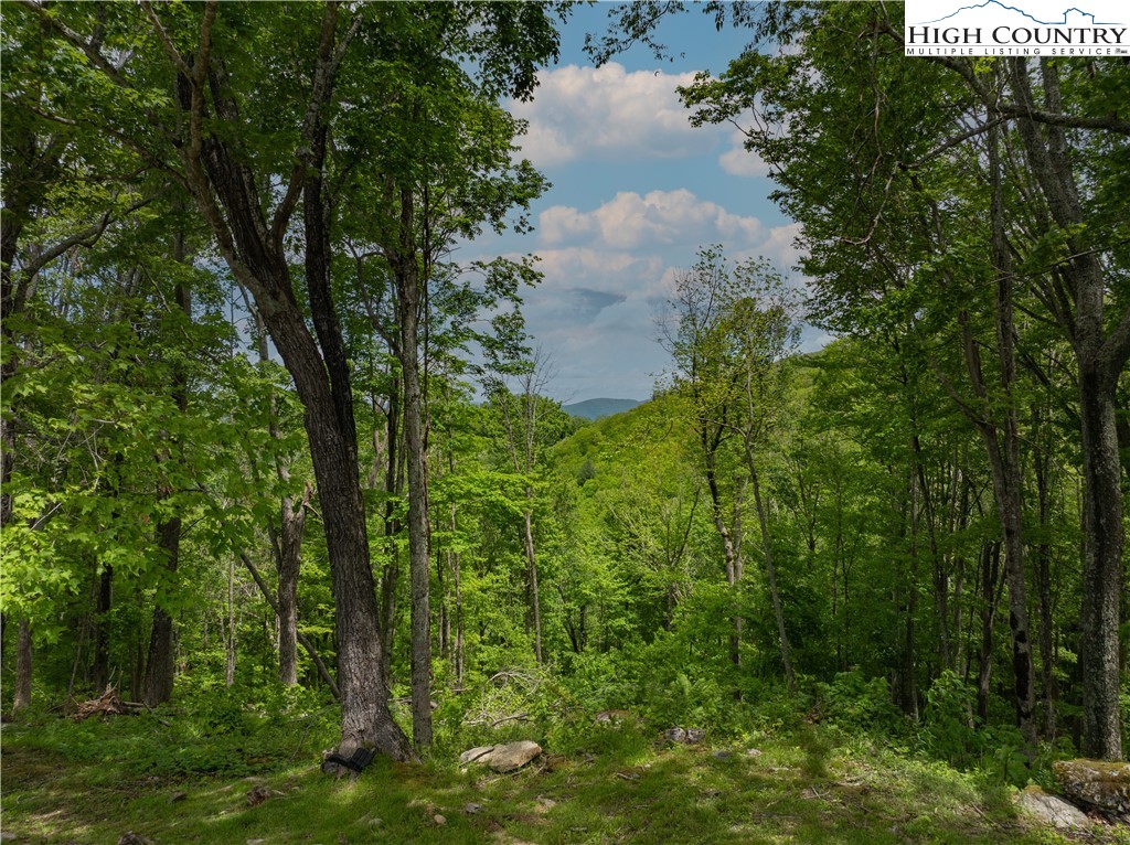 Ec1 Ec1 Eagle Crest Trail Elk Park, NC 28622 - Photo 3 of 15 a view of a green yard