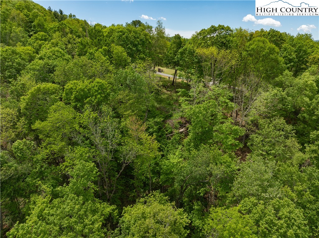 Ec1 Ec1 Eagle Crest Trail Elk Park, NC 28622 - Photo 6 of 15 a view of a house with a tree
