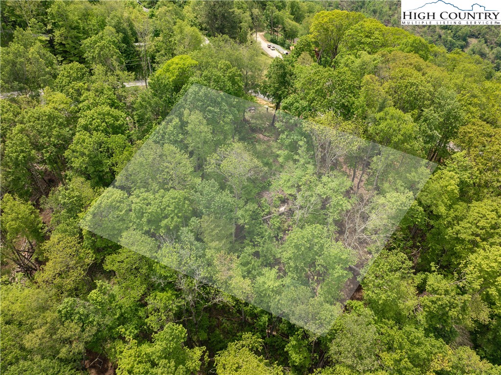 Ec1 Ec1 Eagle Crest Trail Elk Park, NC 28622 - Photo 7 of 15 a view of a lush green forest