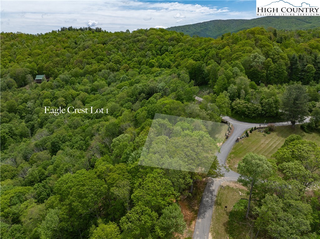 Ec1 Ec1 Eagle Crest Trail Elk Park, NC 28622 - Photo 9 of 15 a view of a lush green forest