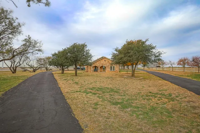 a view of road with large trees
