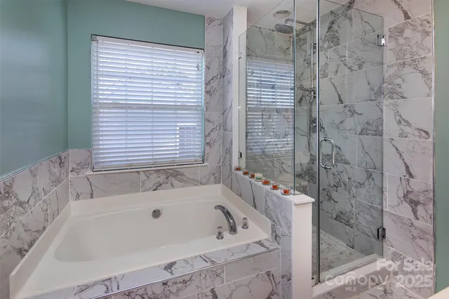 a bathroom with a bath tub and shower
