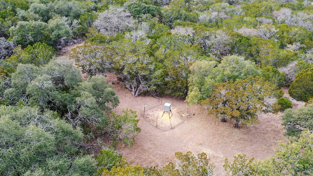 180 Bee Hive Road Hunt, TX 78024 - Photo 19 of 47 Gallery Image 19