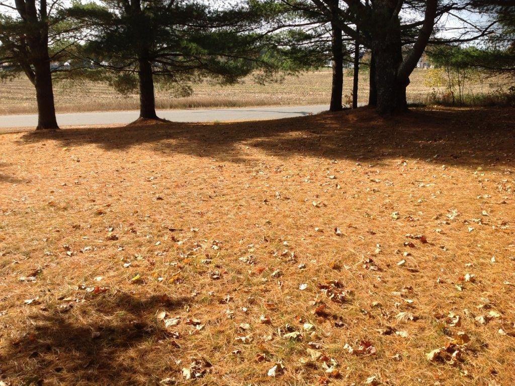 38 Martin Stream Road Norridgewock, ME 04957 - Photo 16 of 19 Yard