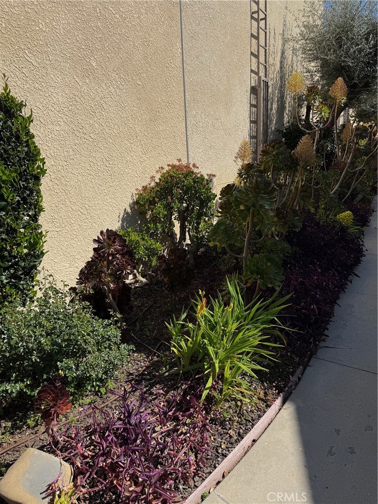 18419 Collins Street, Unit E Tarzana, CA 91356 - Photo 31 of 40 a plant that is in front of flowers