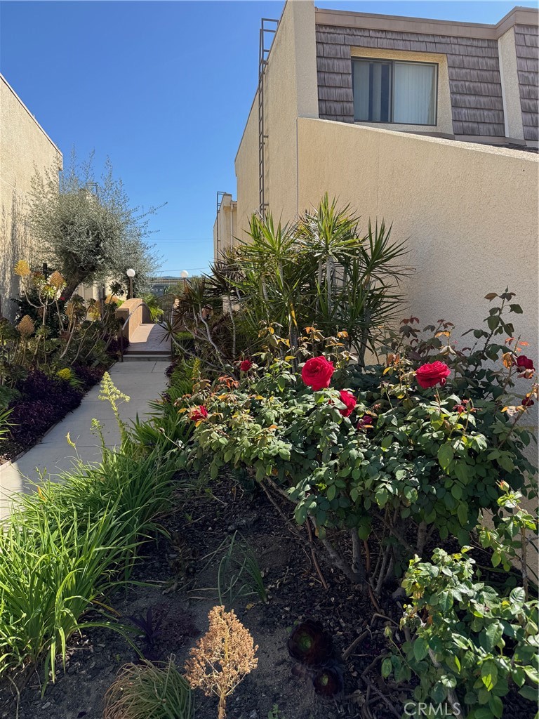 18419 Collins Street, Unit E Tarzana, CA 91356 - Photo 32 of 40 a view of a backyard with plants and flowers