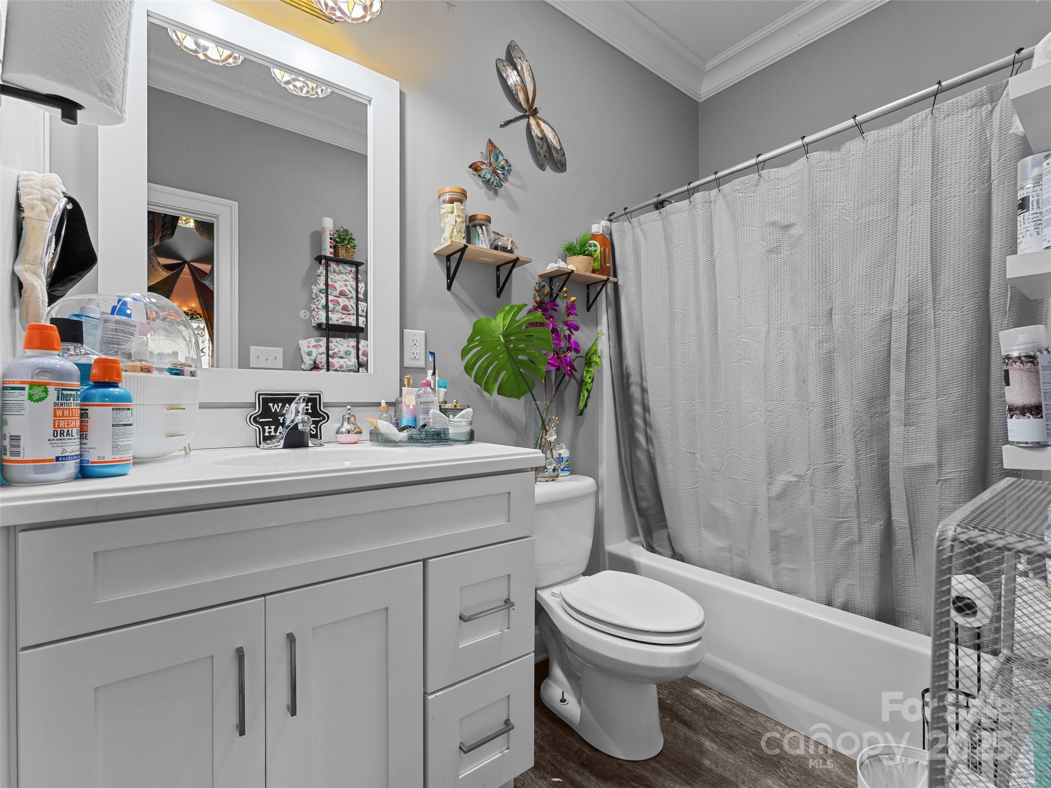 1154 North Ridge Road Hendersonville, NC 28792 - Photo 26 of 29 a bathroom with a sink a toilet and a mirror