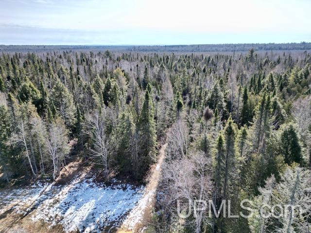 26347 Bootjack Road Lake Linden, MI 49945 - Photo 39 of 58