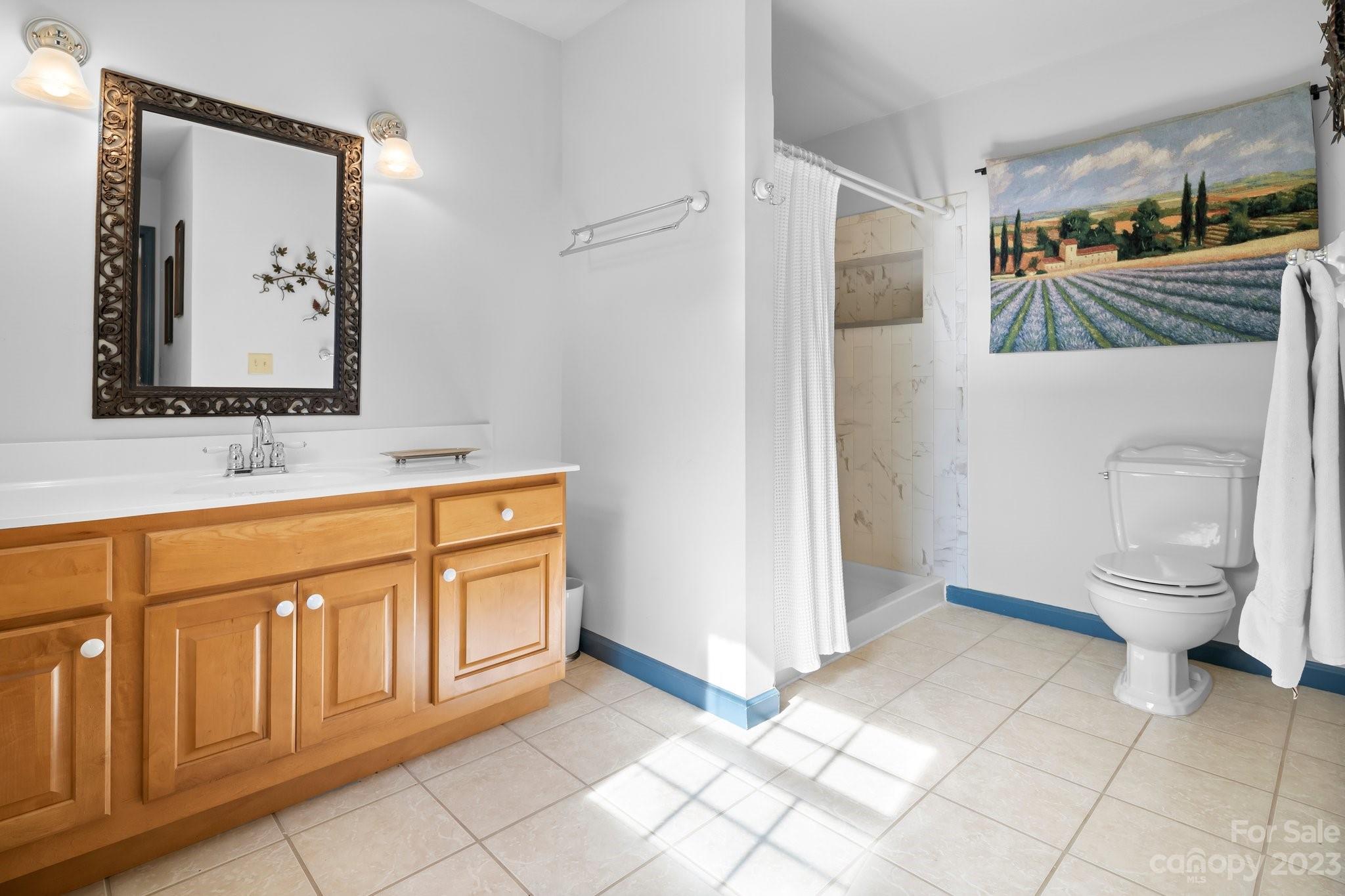 40 Autumn View Drive Hendersonville, NC 28792 - Photo 20 of 48 a bathroom with a toilet sink and mirror