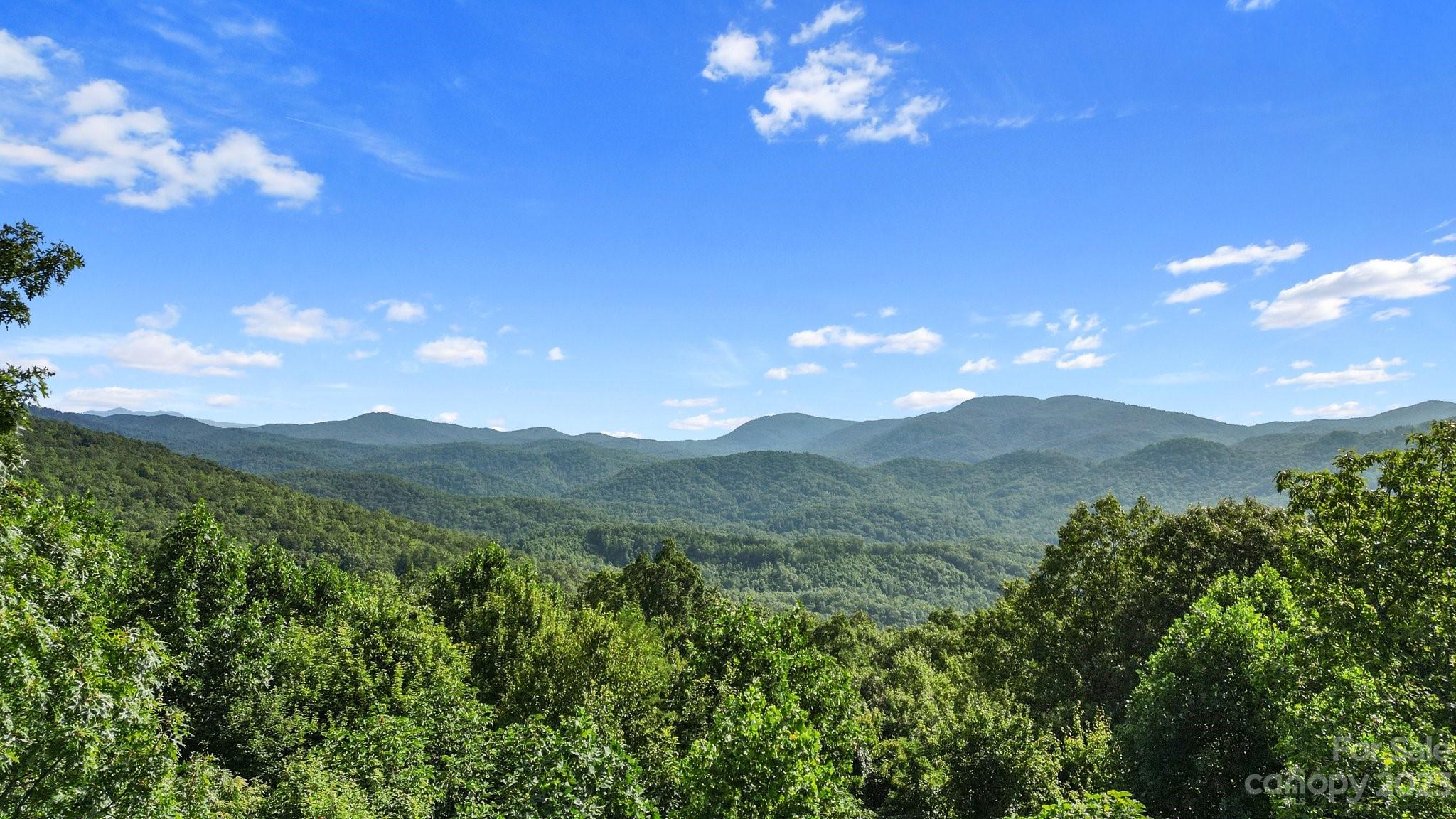 40 Autumn View Drive Hendersonville, NC 28792 - Photo 36 of 48 a view of a lush green forest with mountains in the background
