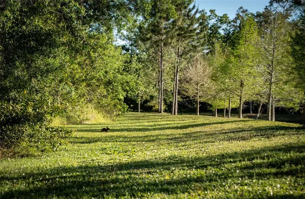 $2,900,000 | 19101 Magnolia Farms Lane, Odessa, FL 33556