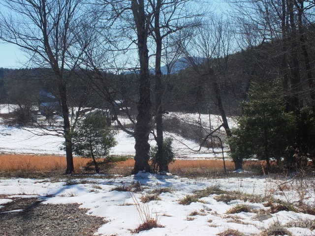 Lot 9 Turtle Ridge Road Sparta, NC 28675 - Photo 4 of 4