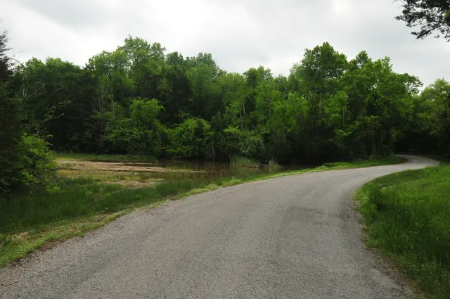a view of a lake with a yard and large trees