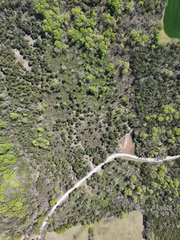 a close up of a plant