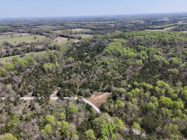 an aerial view of a houses with a lush green hillside