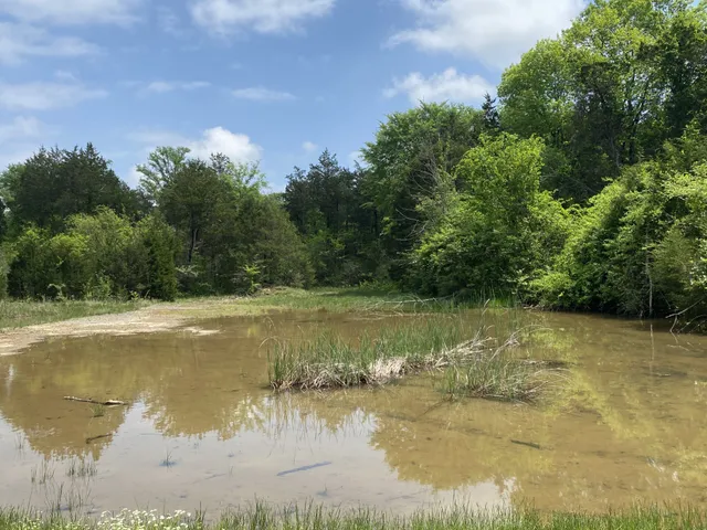 a view of a lake from a yard