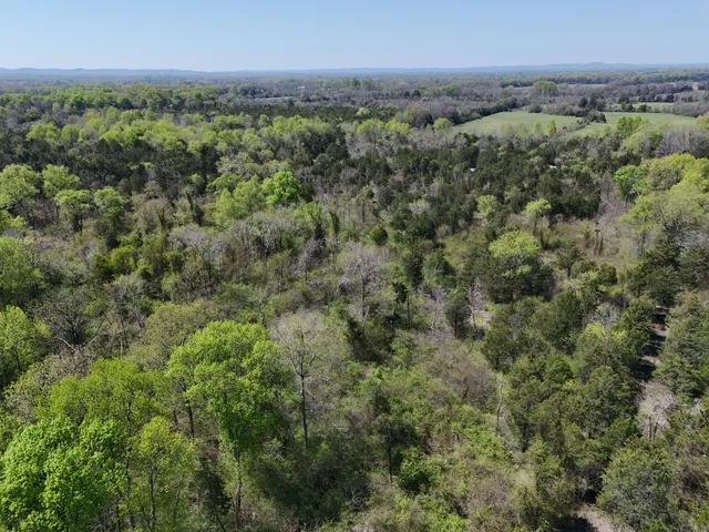 a view of a city with lush green forest