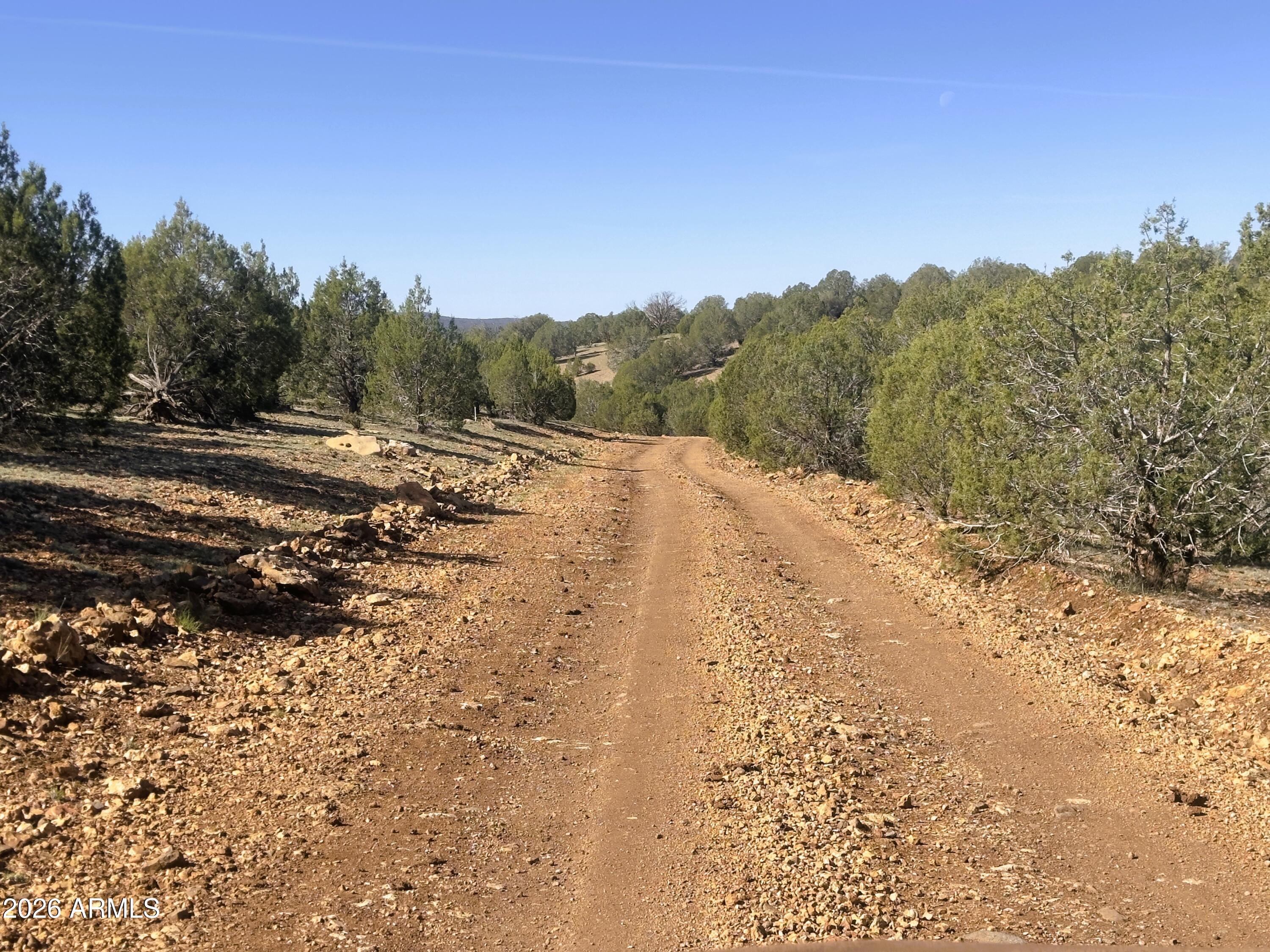 15723 High Tank Road Williams, AZ 86046 - Photo 2 of 18 a view of a yard with trees in the background