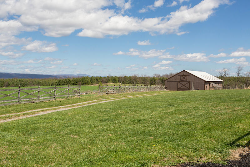4888 Miller Ridge Road Dublin, VA 24084 - Photo 66 of 81 DGA_1287