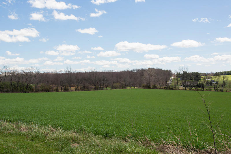 4888 Miller Ridge Road Dublin, VA 24084 - Photo 70 of 81 DGA_1291