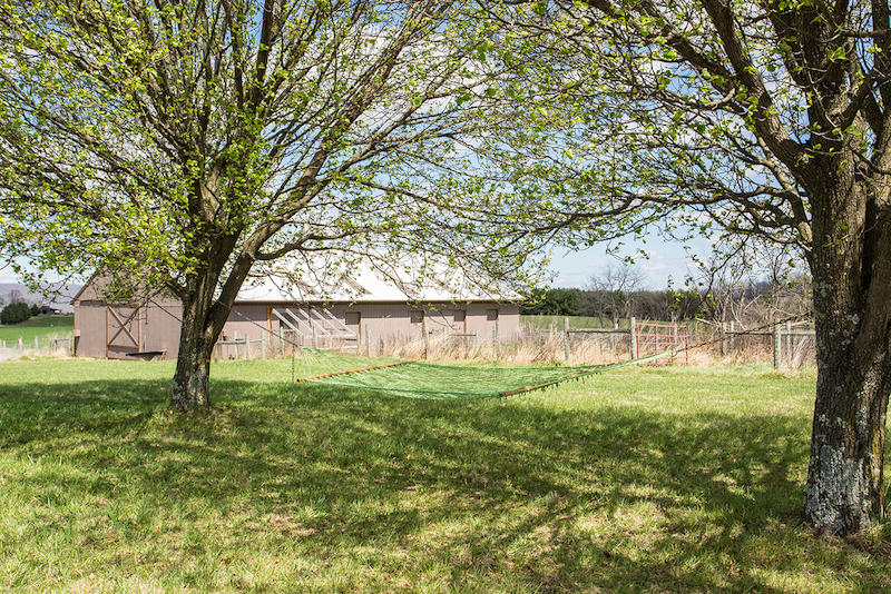4888 Miller Ridge Road Dublin, VA 24084 - Photo 71 of 81 DGA_1292