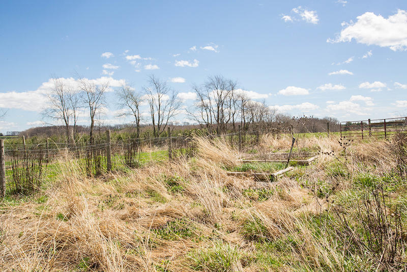 4888 Miller Ridge Road Dublin, VA 24084 - Photo 77 of 81 DGA_1298