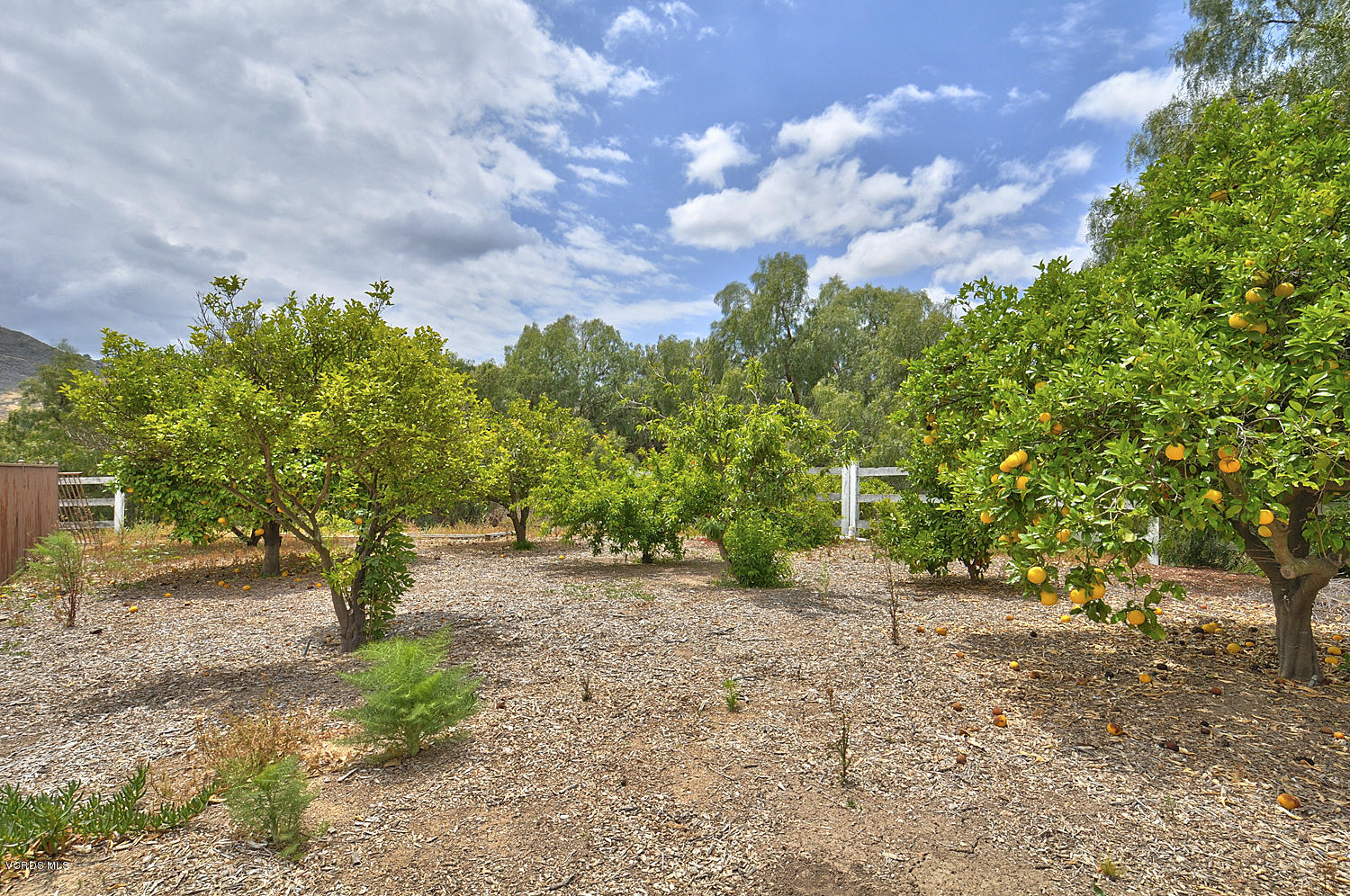 11824 Pradera Road Camarillo, CA 93012 - Photo 33 of 37 SKY_39
