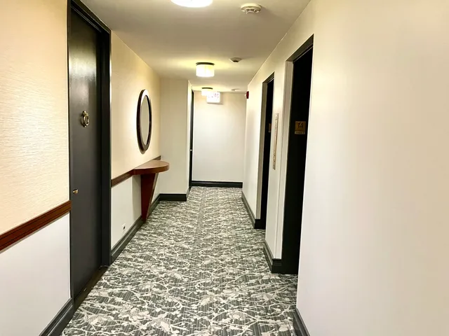 $2,400 | 100 East Walton Place, Unit 14A, Chicago, IL 60611