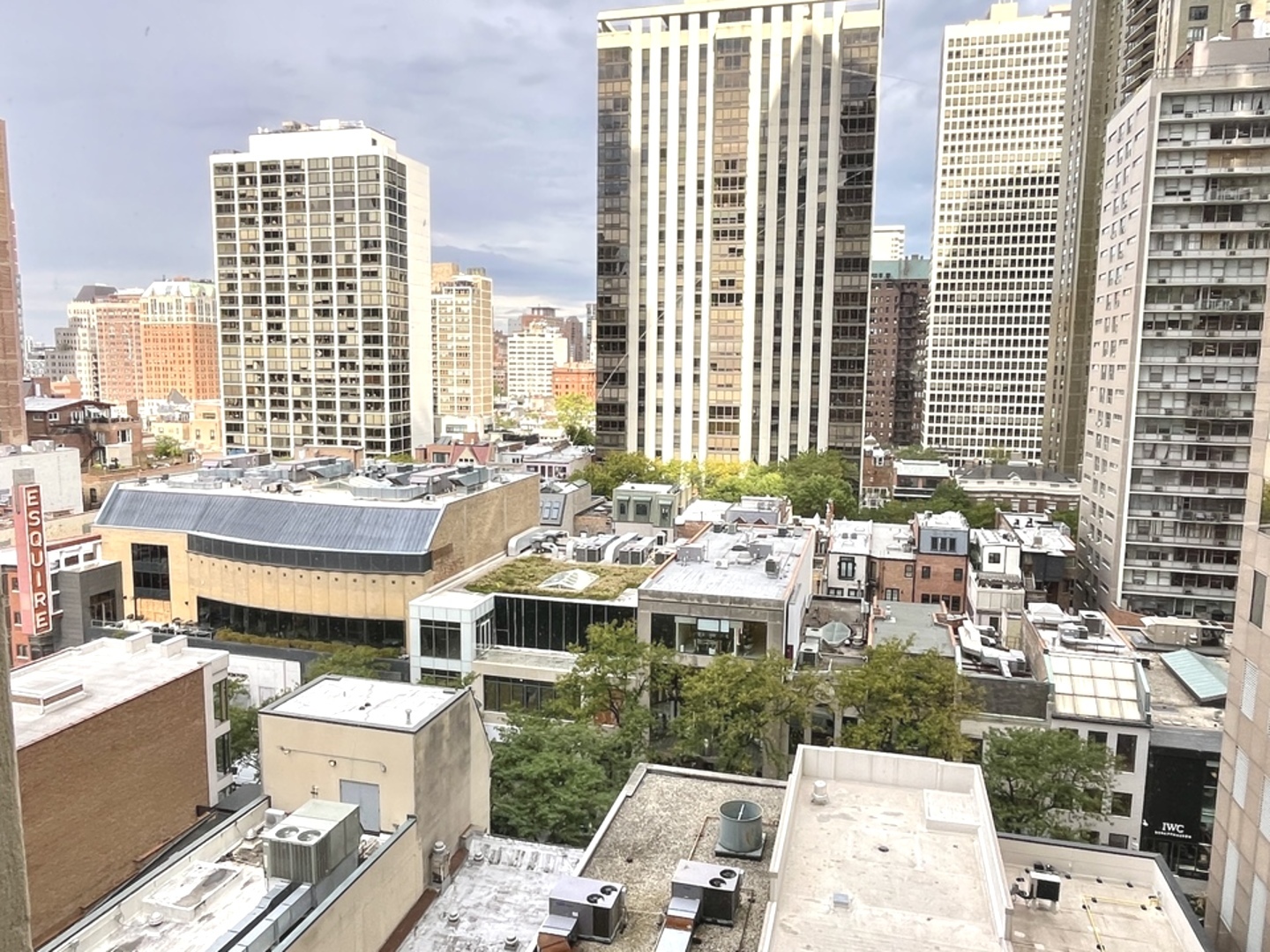 100 East Walton Place, Unit 14A Chicago, IL 60611 - Photo 5 of 19 a view of a city that has tall buildings