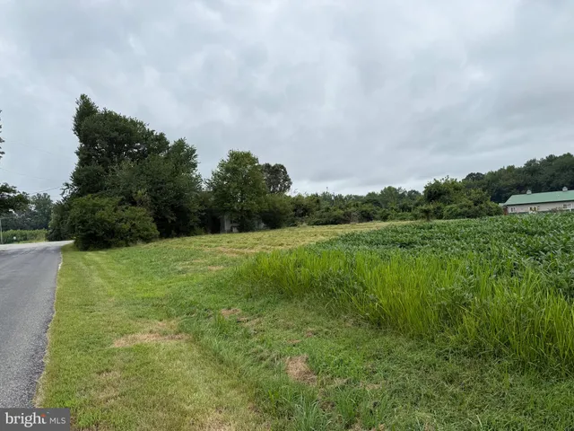 a view of a green field with clear sky