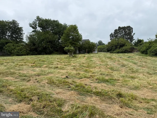 a view of big yard with an outdoor space