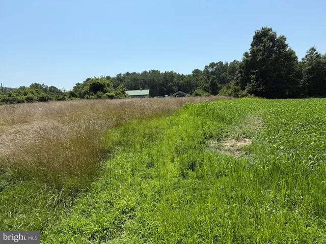 a view of lake with green space