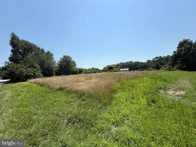 a view of a lake with a yard