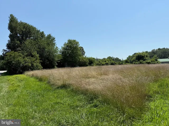 a view of lake with green space