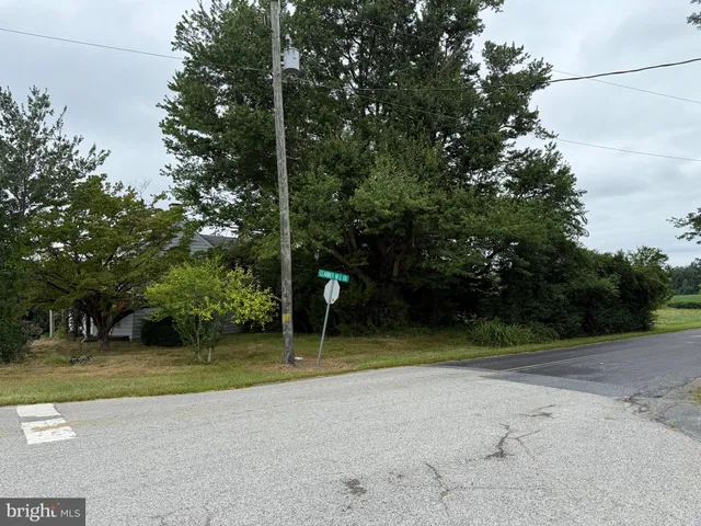 a view of a park with large trees
