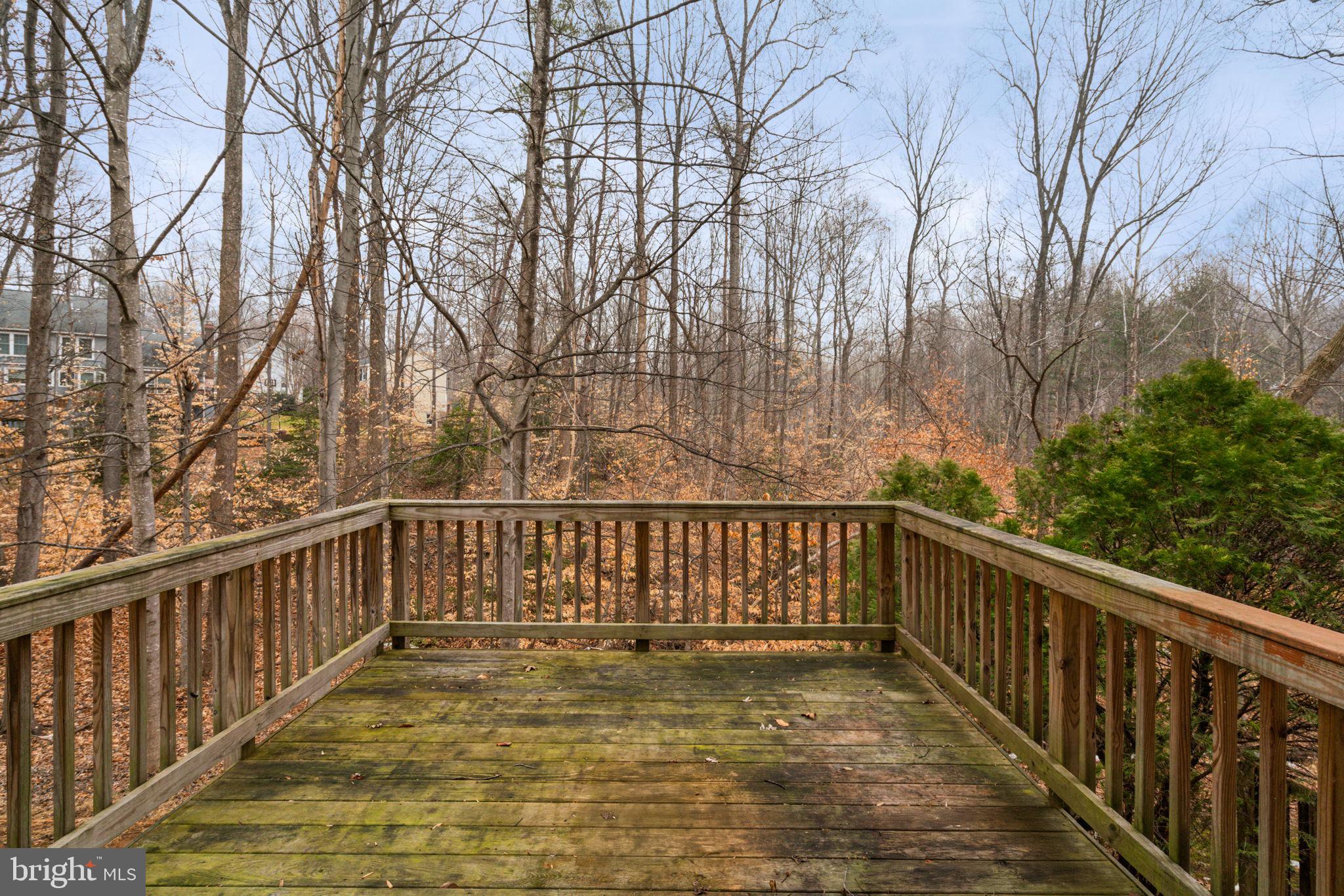 15343 Inlet Place Dumfries, VA 22025 - Photo 29 of 29 Patio Backing to Trees 2