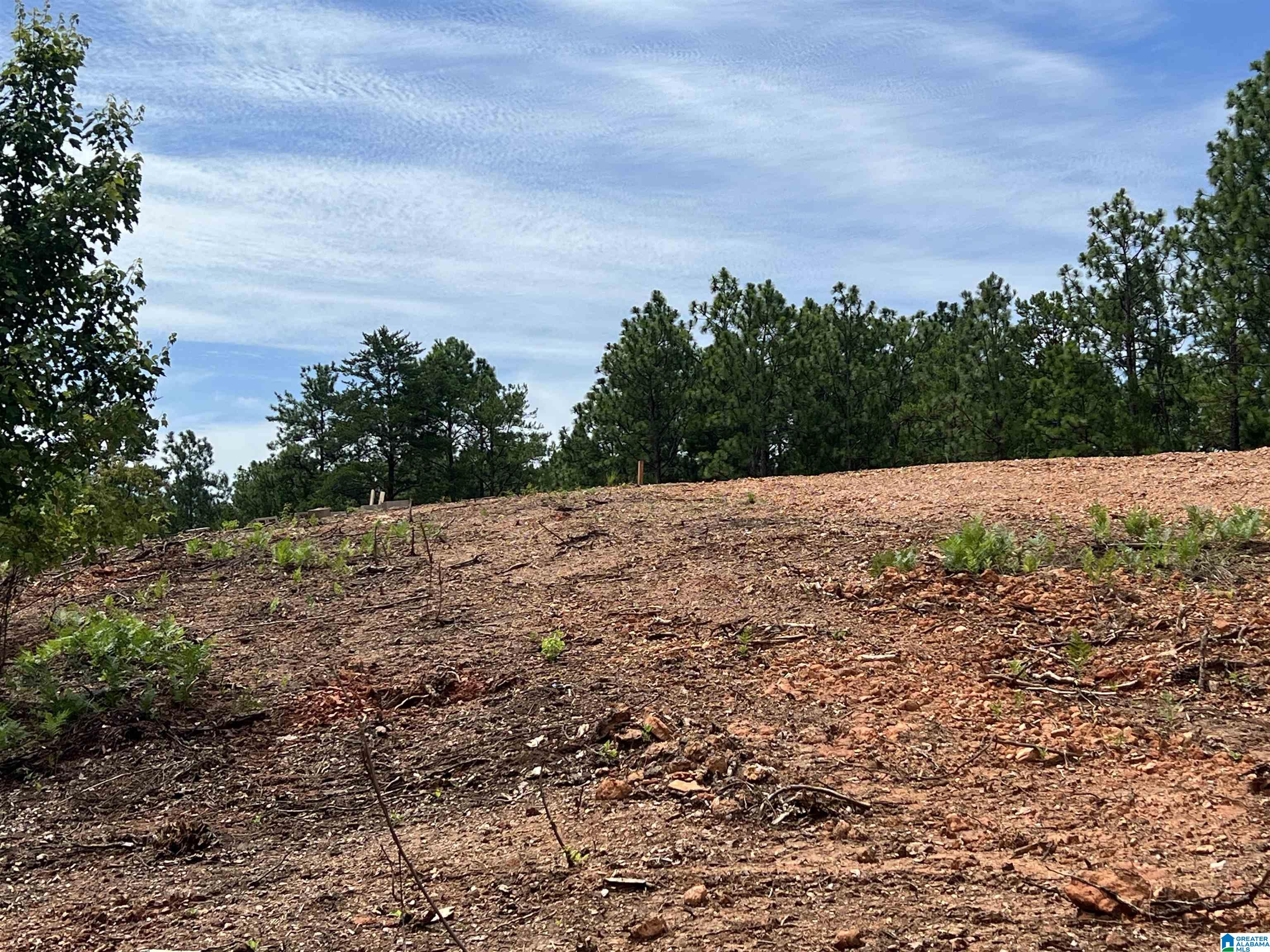 0 County Road 188 Clanton, AL 35046 - Photo 10 of 20