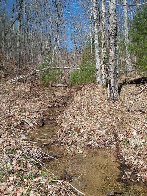512 Wildcat Run Road South Marlinton, WV 24954 - Photo 5 of 45 Gallery Image 5