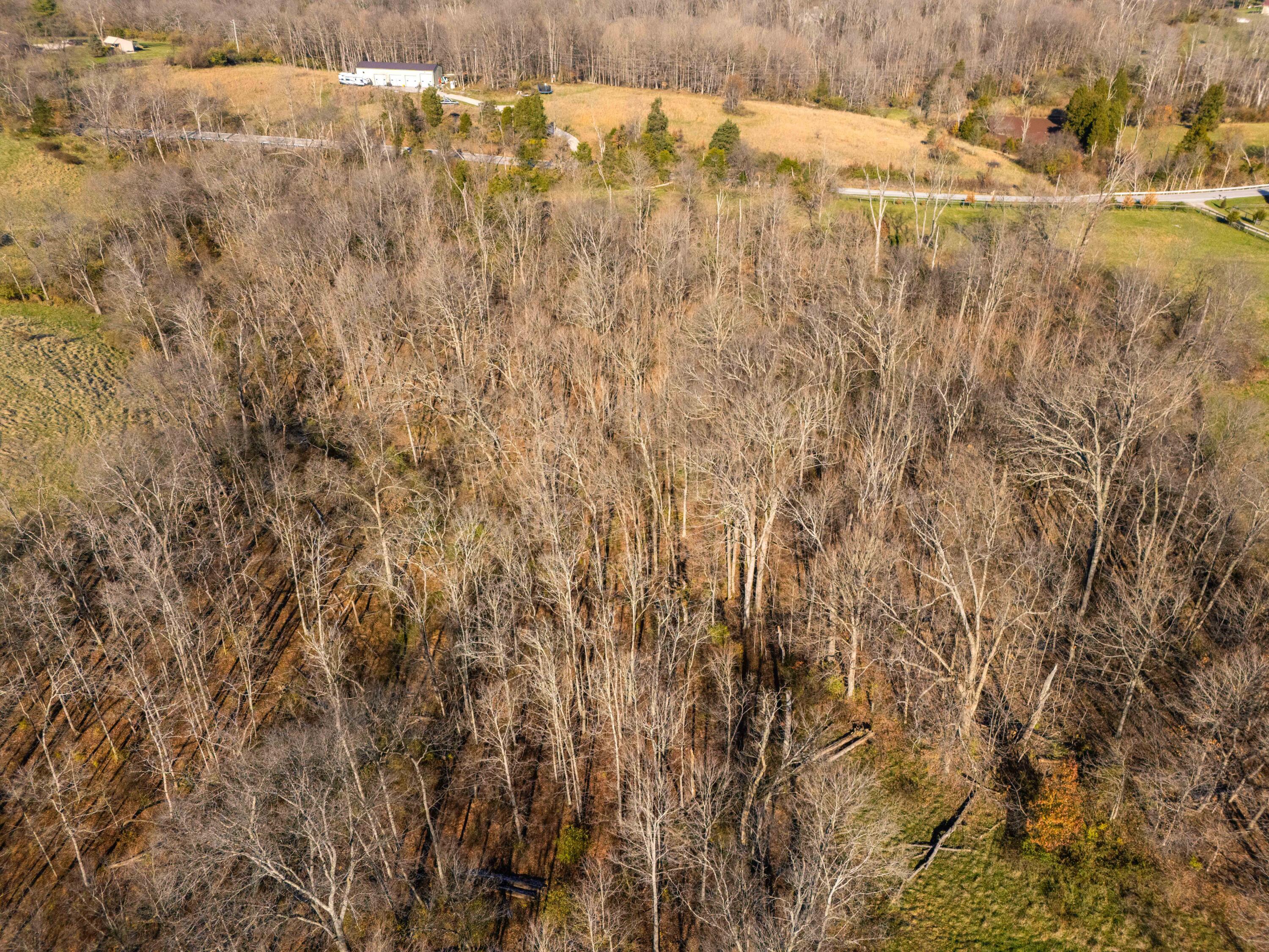 0 Rabbit Hash Road Union, KY 41091 - Photo 13 of 14 Gallery Image 13