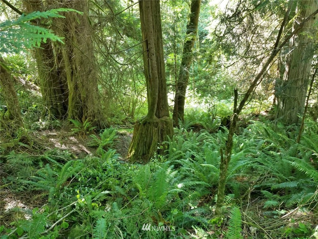 25090 Port Gamble Road Northeast Poulsbo, WA 98370 - Photo 22 of 24 Gallery Image 22