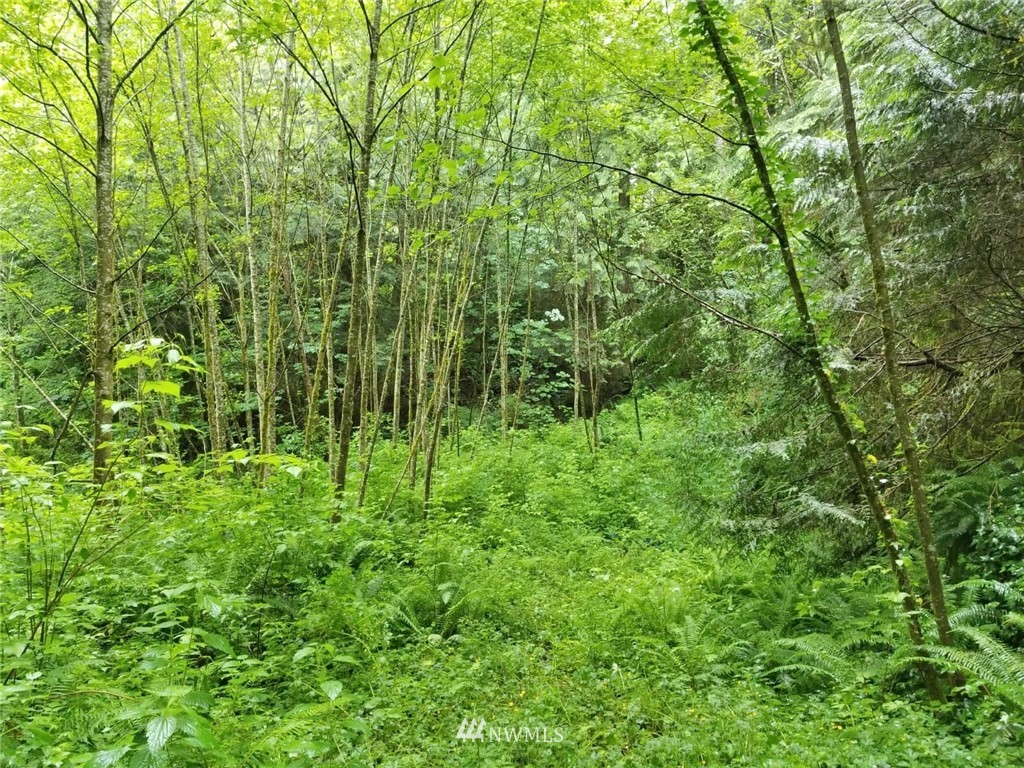 25090 Port Gamble Road Northeast Poulsbo, WA 98370 - Photo 23 of 24 Gallery Image 23