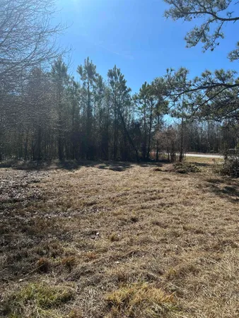 $25,000 | 2047 Martin Luther King Jr Avenue, Kingstree, SC 29556